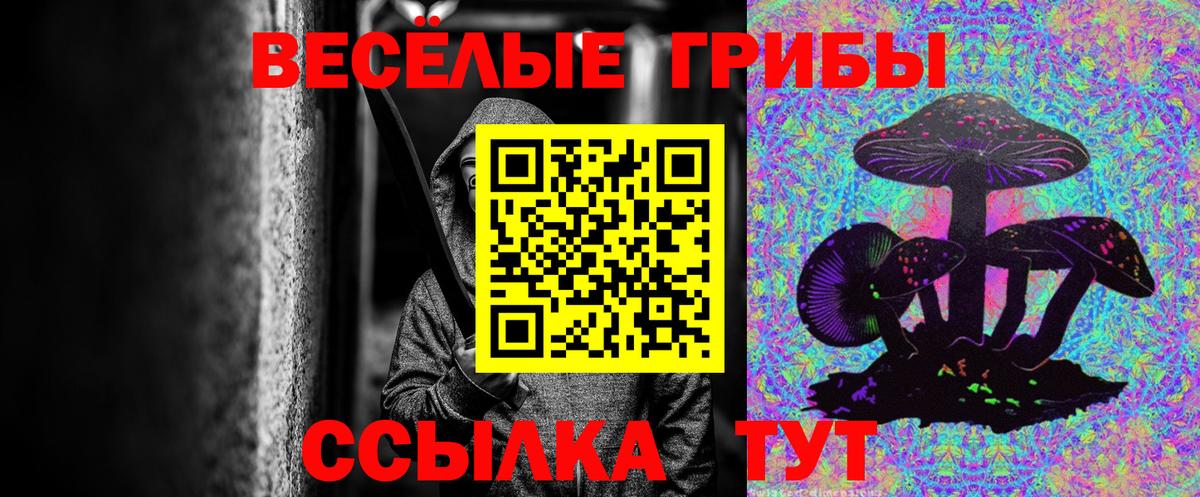 Псилоцибиновые грибы ЛСД  Псилоцибиновые грибы Cubensis  Набережные Челны  Вход с VPN 